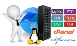 Web Hosting (image for) Web Hosting